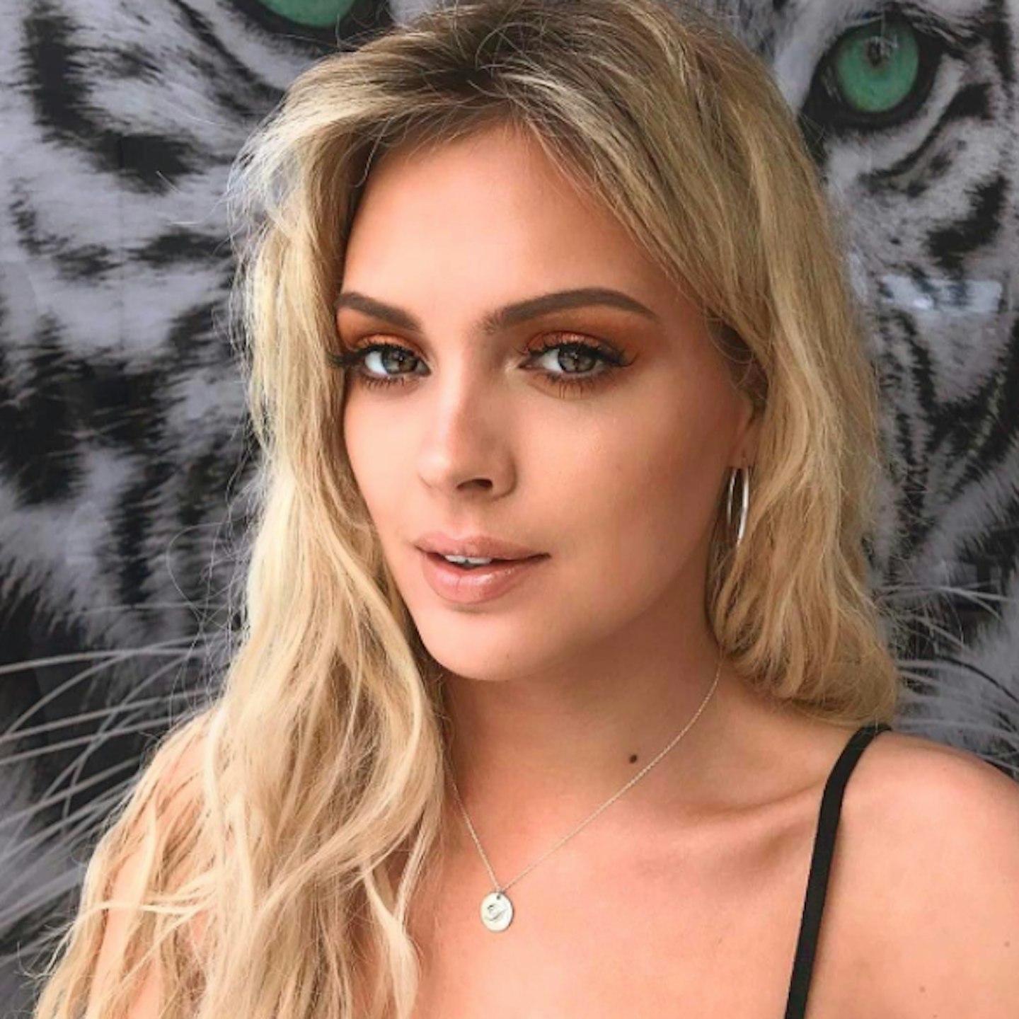 Love Island 2017: Who is Danielle Sellers? The new Islander entering